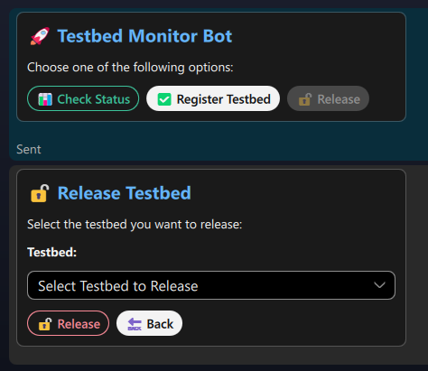 Release Form